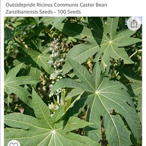 Meet your Posher, Araba